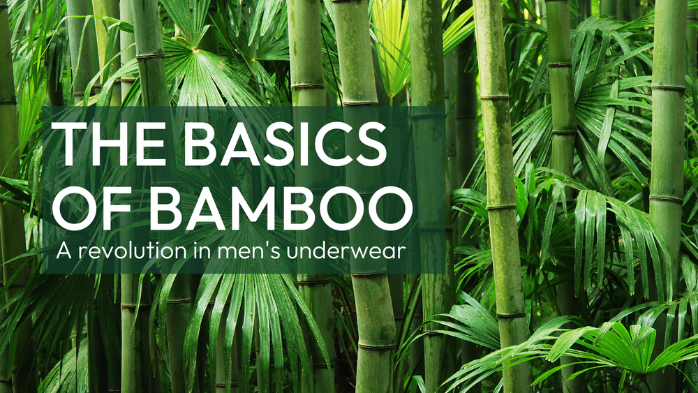 The Basics of Bamboo: A Revolution in Men's Underwear