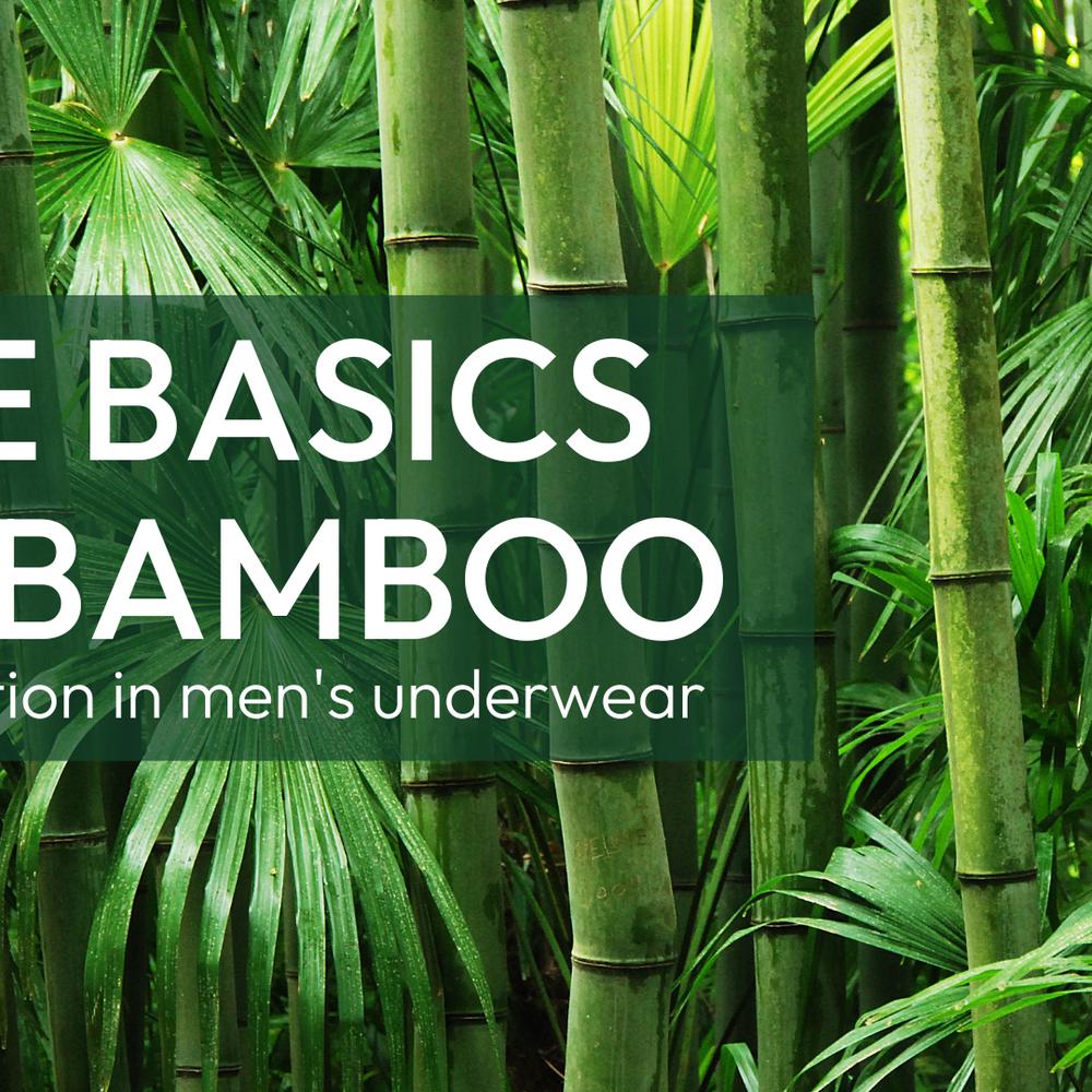 The Basics of Bamboo: A Revolution in Men's Underwear