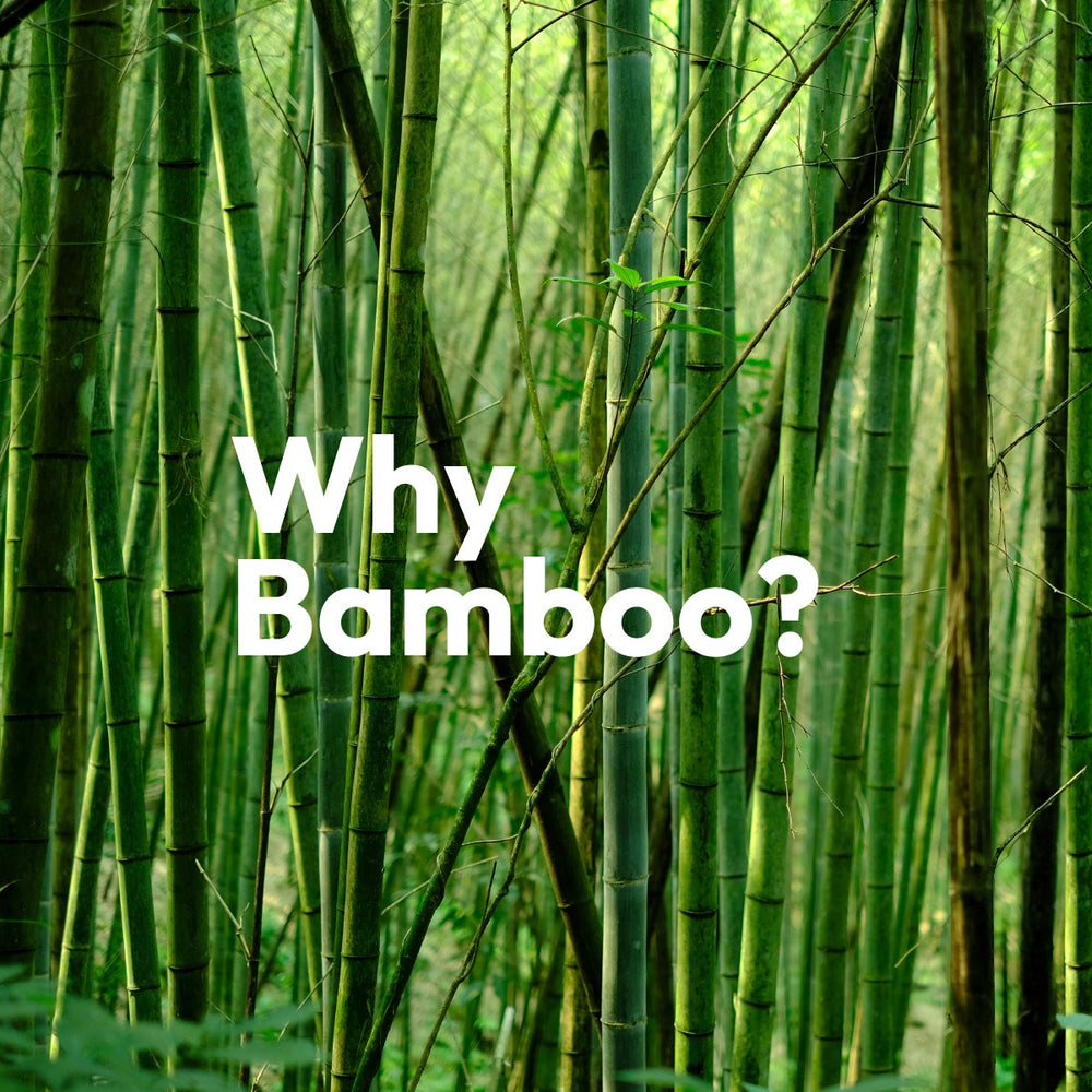 Why bamboo?